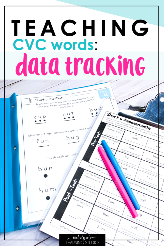 cvc-words-assessment