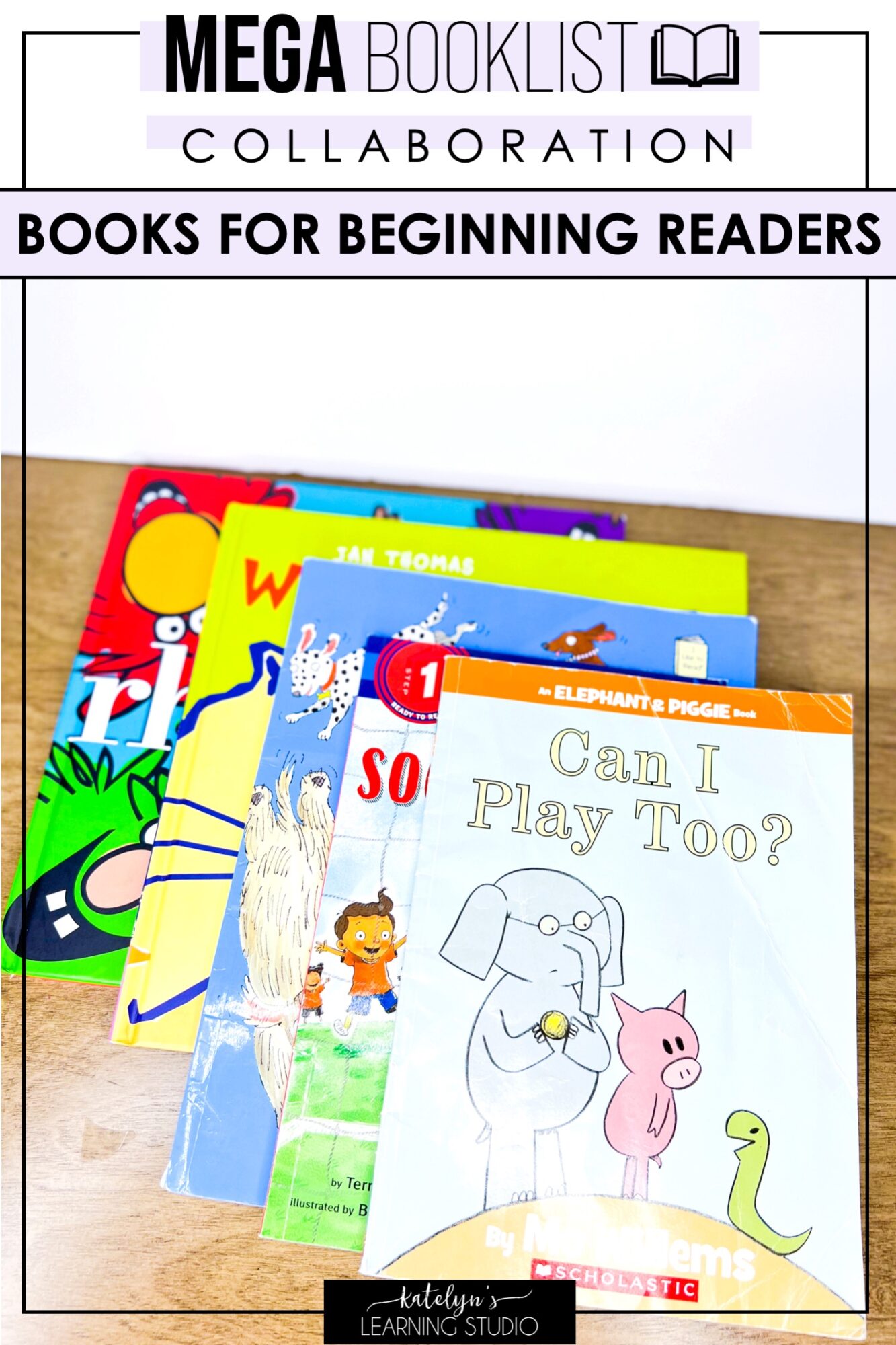 Best Books to Read for Beginners and Reluctant Readers EVER!