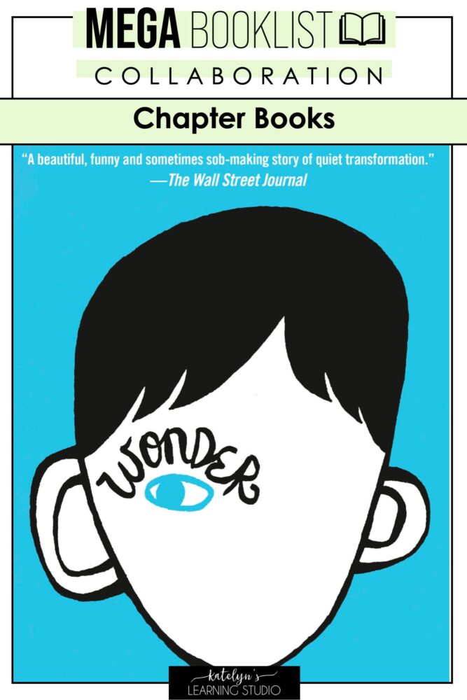 chapter-book-for-preteens