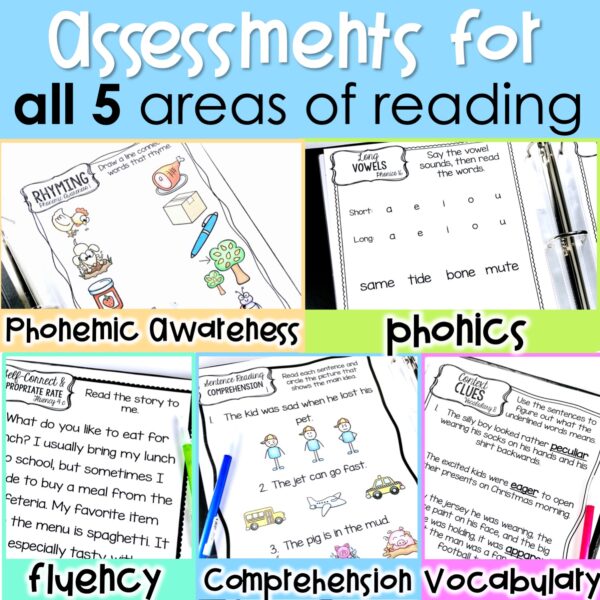 diagnostic-assessment-in-reading-2