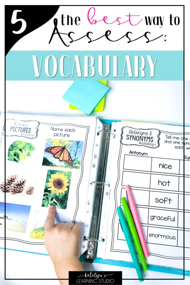assess-vocabulary