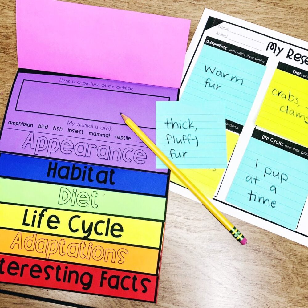 A rainbow colored flip book with animal fact categories on each flap next to a graphic organizer with sticky notes that hold animal facts.