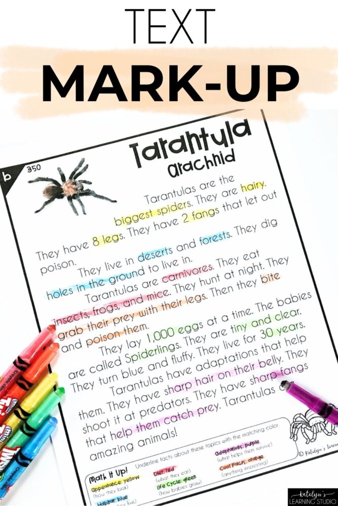 Nonfiction reading comprehension strategy showing tarantula reading passage with highlighted and underlined facts for animal research project