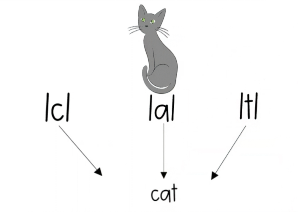 Phonemic awareness example showing the word cat segmented into individual sounds /c/ /a/ /t/