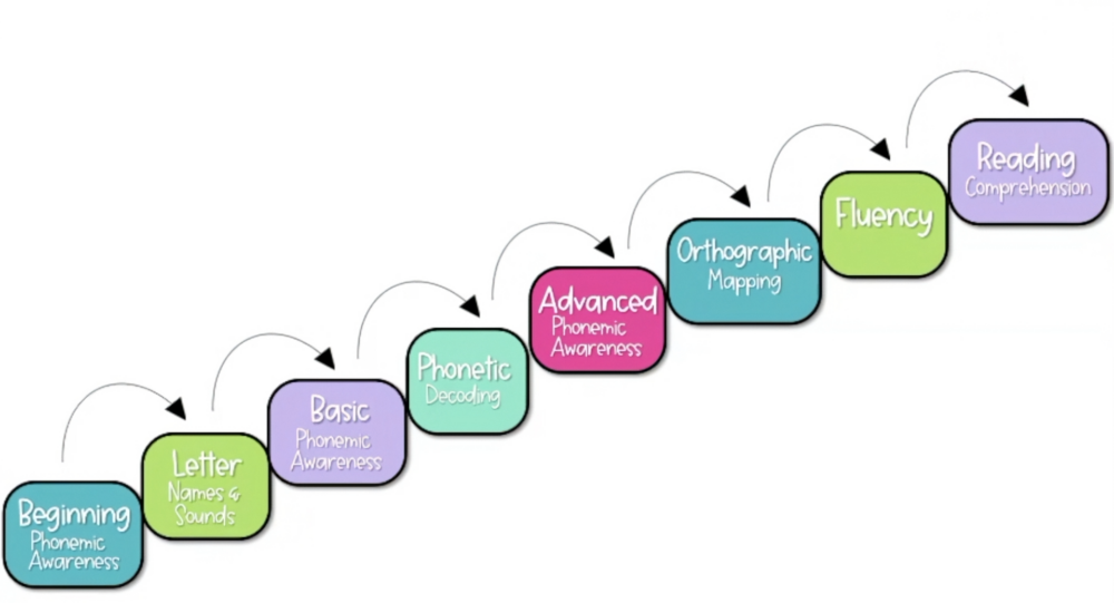 The 8-step path to reading from beginning phonemic awareness to reading comprehension